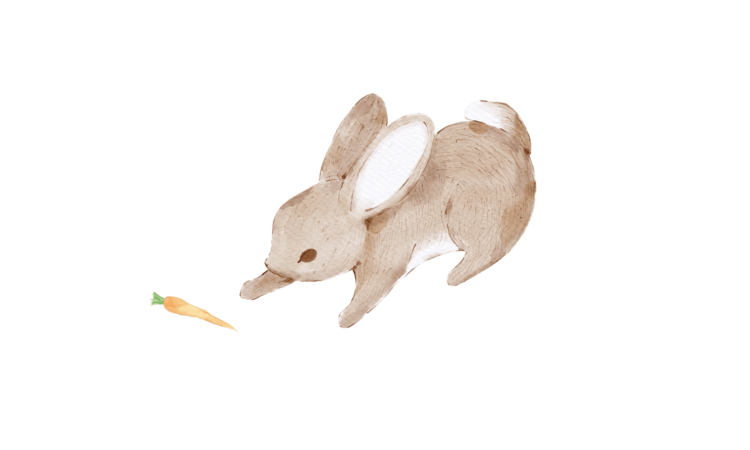 samanthachua watercolour bunny chasing carrot (2)