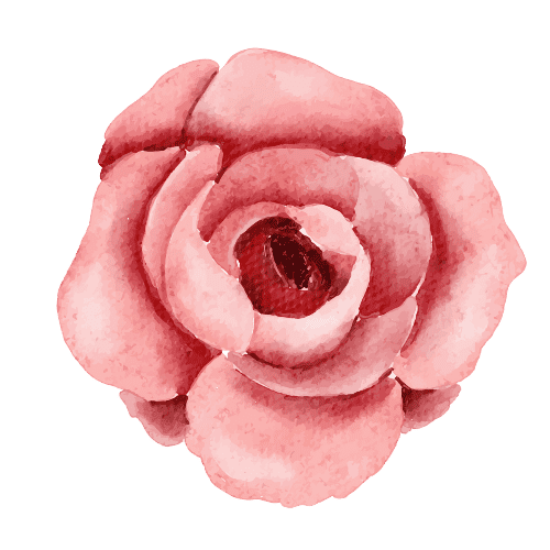 samanthachua watercolour camellia
